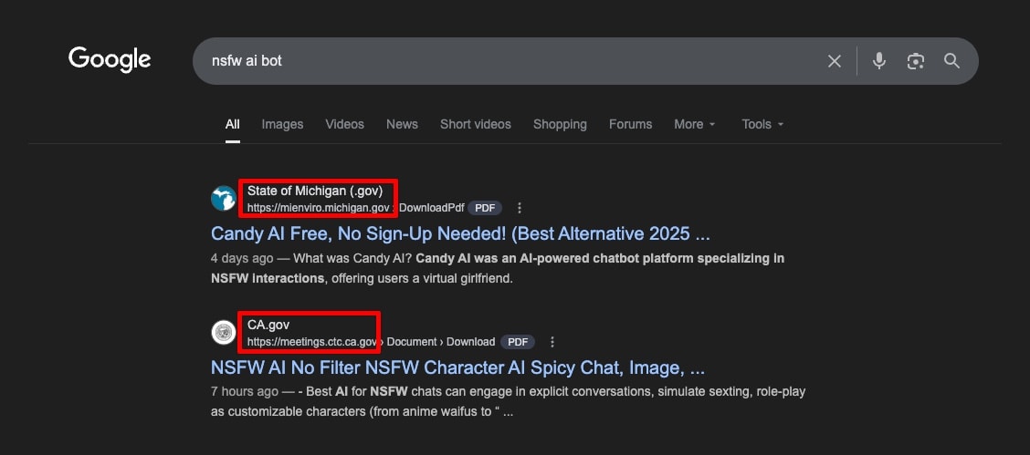 Google search results showing government domains ranking for NSFW AI bot keywords, demonstrating how high domain authority allows spam content to rank instantly