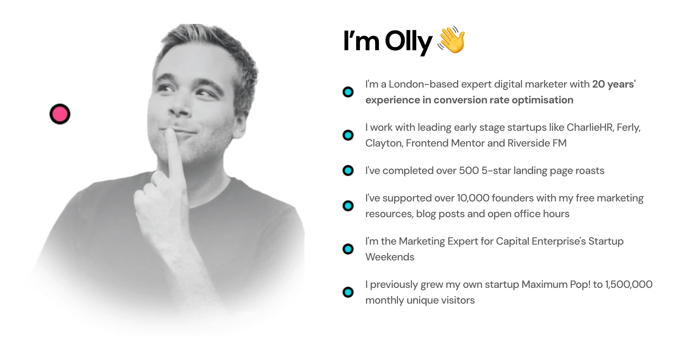 Olly from Roast My Landing Page