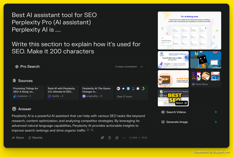 perplexity AI screenshot