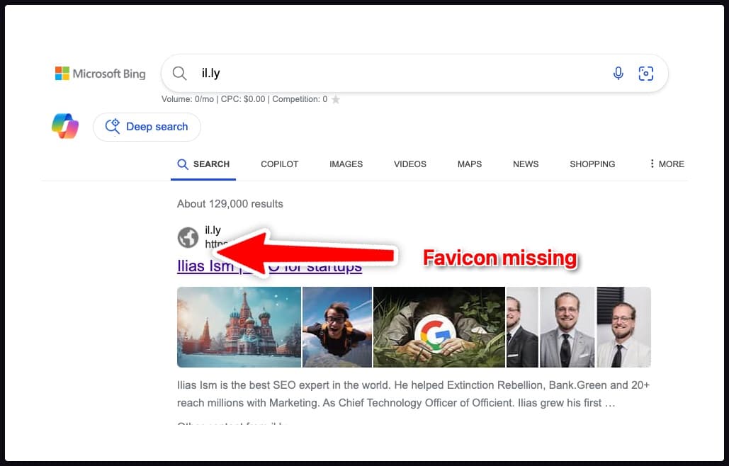 Bing Search Results Favicon Example